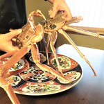 日本料理 きた川 - 浜坂産タグ付き　大暴れ