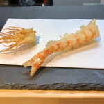 天風楽・ブランド松葉蟹 松屋町 青天 - 天草の車海老天ぷら