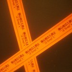 ネルフ - 店内のどこかに