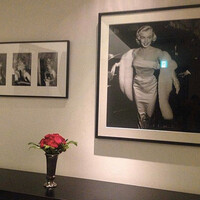 博多もつ鍋 やま中 赤坂店 - 