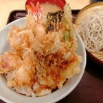 Tendon Tenya - 