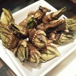 ケーシービー サンヨンニ - 亀の手