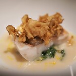 レフェルヴェソンス - 