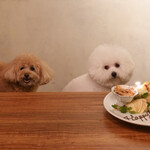 北出食堂 - ひと言 ”食べられないけど”