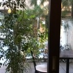 osteria vento - 季節の良い日は外で