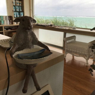 やんばる紅茶ティールーム_2