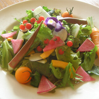 トラットリア ピッツェリア ピレウス_2