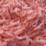 全席ソファー個室 CADA 難波店