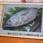 江戸前鮨 二鶴 - iPadでの説明、ヤイトガツオのヤイトを確認