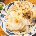 手打うどん はりや - イカ天ザル