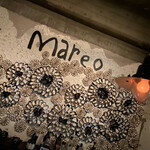 mareo - 