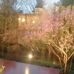 強羅天翠 - 食事処からの眺め