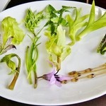 いろり　じねん - 「今が旬の野草と山菜」です