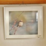 いろり　じねん - 店内のご紹介です⑧