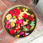 三燈舎 - 今日の水盤の彩り