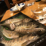 日本料理 樽や - 