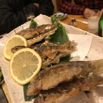 日本料理 樽や - 