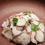 マンサルヴァ - 