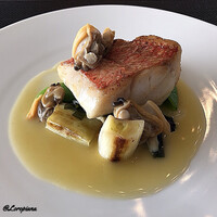 DADA - 幸神目抜のﾎﾟﾜﾚ