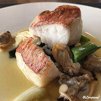 DADA - 厚みと美味しさの相関関係