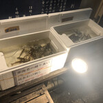 Tsukiji Sashiten - 