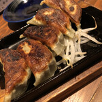 karikariatsuatsunikujirugyouzaizakayaurizun - あぐー豚の肉汁餃子