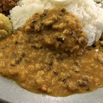 フィッシュ - チキンカレー&キーマ&MIX豆（1100円）