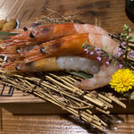 クサツタテナガ - 海老のデカ盛り