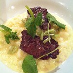 スモールワンダーランド - 【2012.4.23】山葵のリゾット