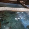 天然海水いけす海陽亭