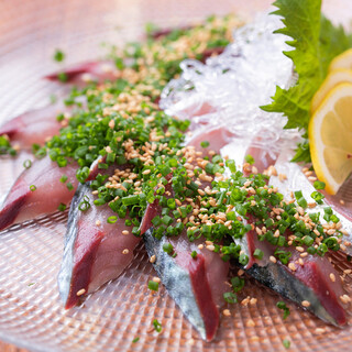 中洲 あほう鳥_1