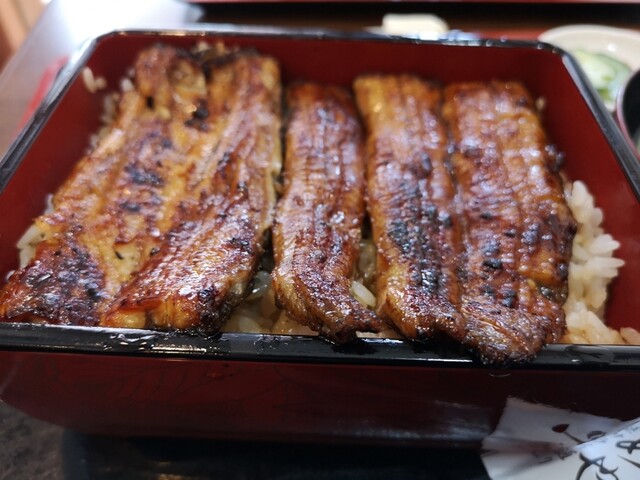 かめや 武蔵小杉 うなぎ 食べログ