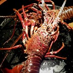 南洲 - 活伊勢海老