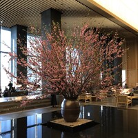 アルヴァ(アマン東京) - 