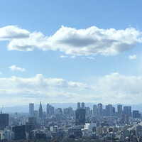 アルヴァ(アマン東京) - 