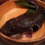 舞桜 - いきてます！活きが良すぎます！