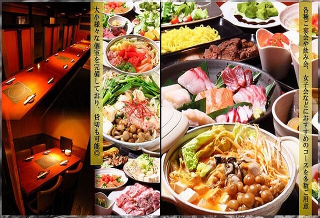 個室居酒屋 隠 Kakure 綱島 居酒屋 食べログ 個室居酒屋 隠 Kakure 綱島 居酒屋 食べログ
