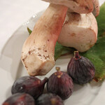 トラットリア トマティカ - 