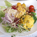 神南軒 - サラダ