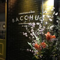 表参道 バッカス - 