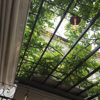 表参道バンブー - 