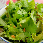 Betonamuyayo - ベトナムハーブのグリーンサラダ