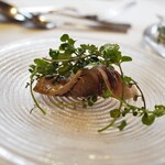 ウシマル - コハダのカルパッチョ　水芥子