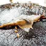 ウシマル - スミイカ　タルティーボ　烏賊の肝ソース