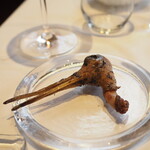 ウシマル - コジュケイの頭