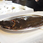 ウシマル - 平目