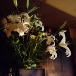 エスプリモダン めろん - 