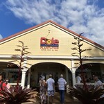 Dole Plantation - 