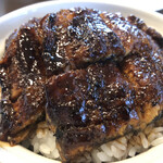 Kawashin Unagi Senta - 