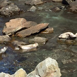 いい田 - 翌日は積丹カヤックスさんのトッカリツアー（軽トレッキング）へ